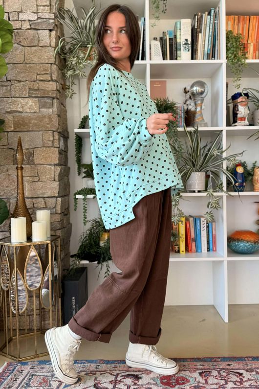 Scamp Lantern Sweatshirt Polka Dot Mint & Chocolate